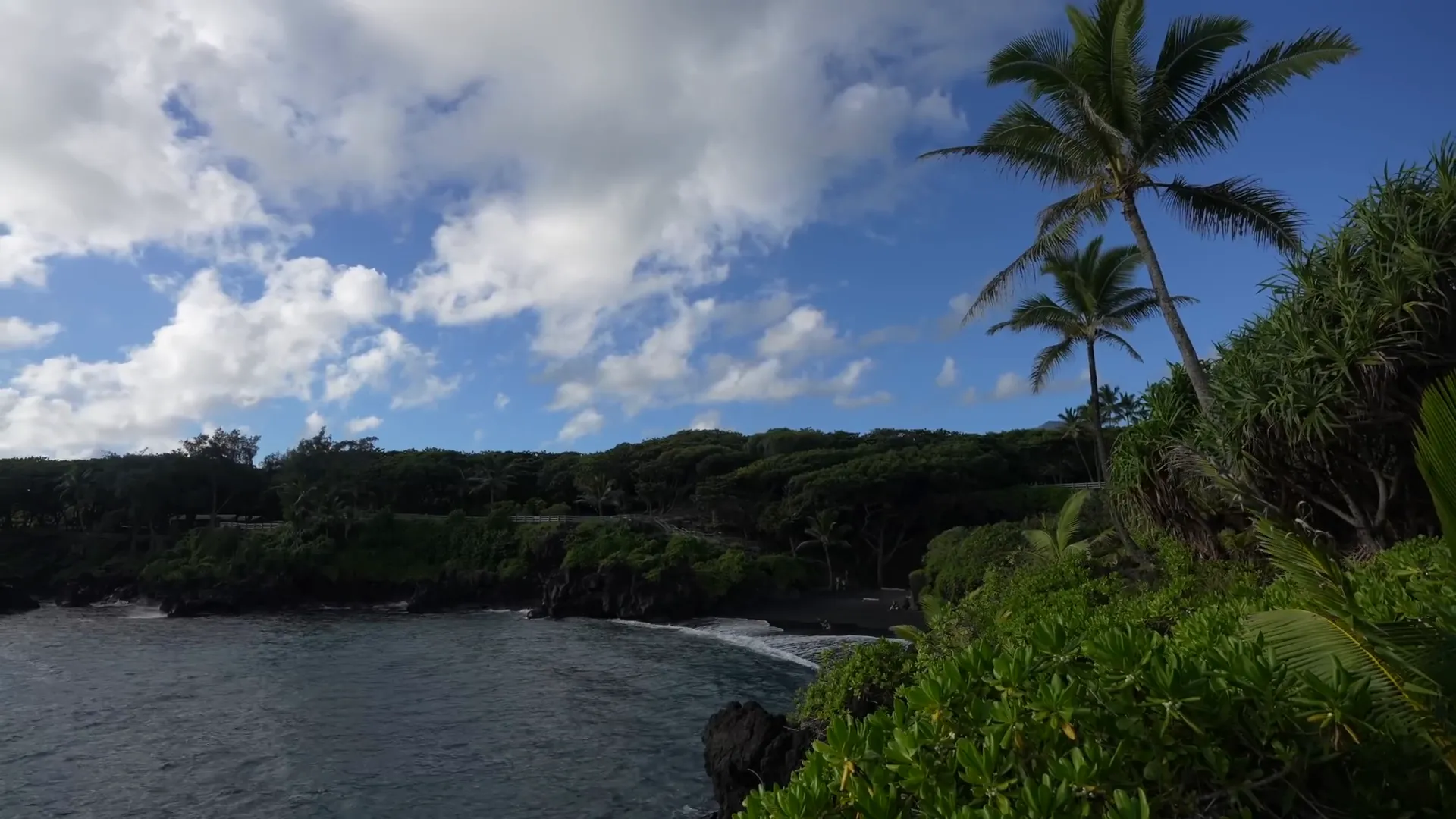 Relaxed driving on The Road To Hana
