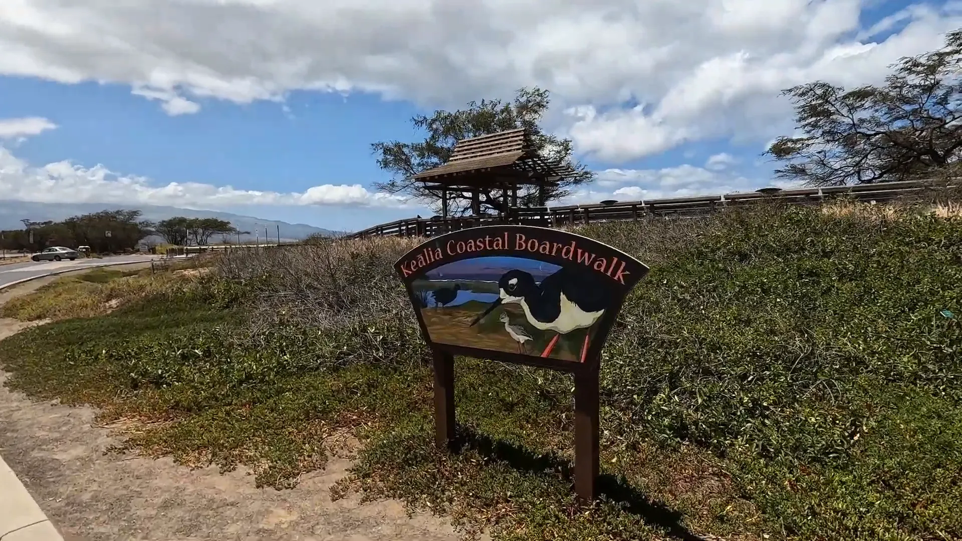 Kealia Coastal Boardwalk