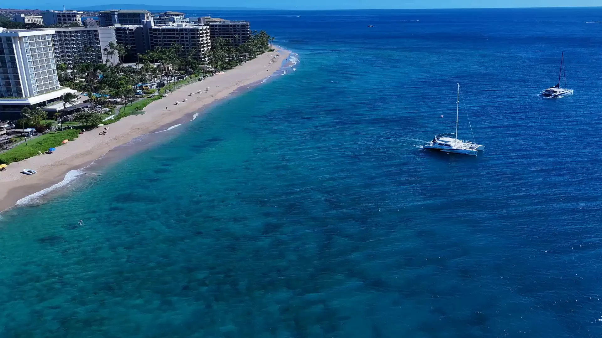 Beach loading catamaran for whale watching