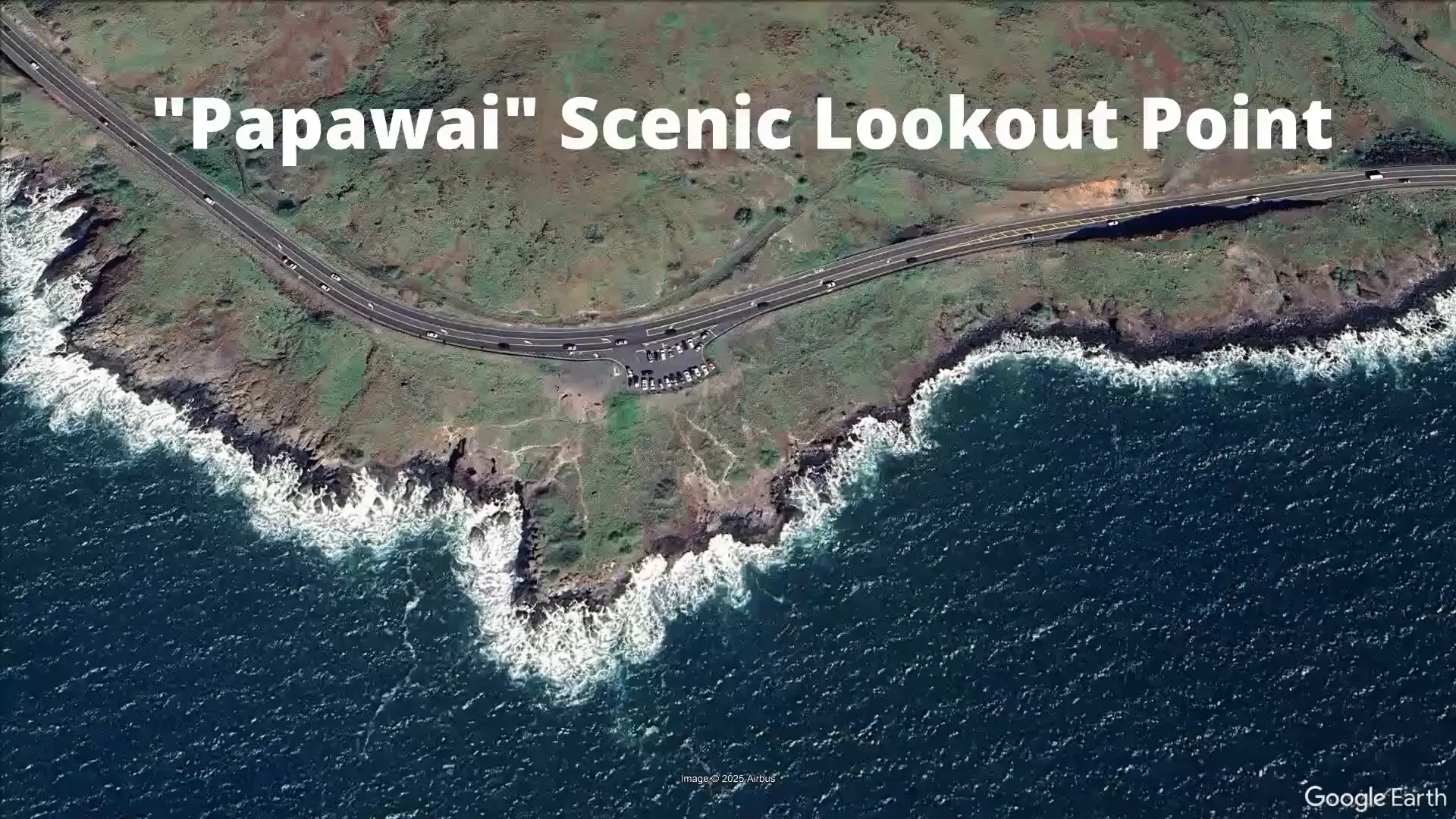 Papawai Scenic Lookout for whale watching